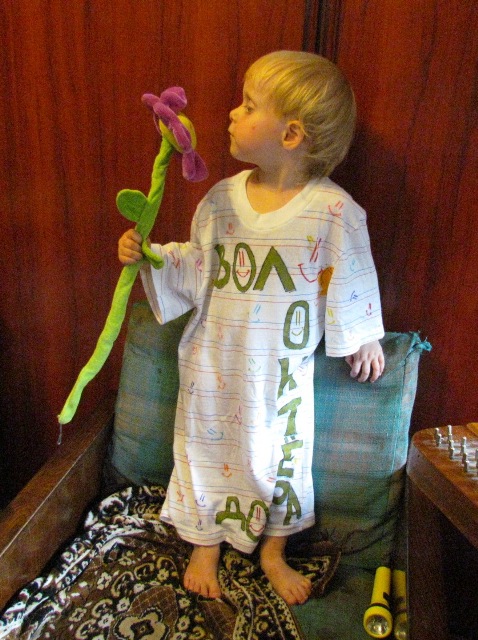 волонтер доброй волі